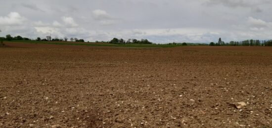 Terrain à bâtir à Zaessingue, Grand Est