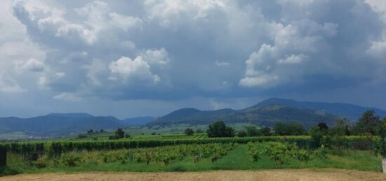 Terrain à bâtir à , Haut-Rhin