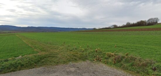 Terrain à bâtir à Wasselonne, Grand Est