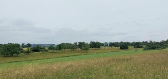 Terrain à bâtir à , Bas-Rhin