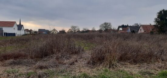 Terrain à bâtir à Steinbourg, Grand Est