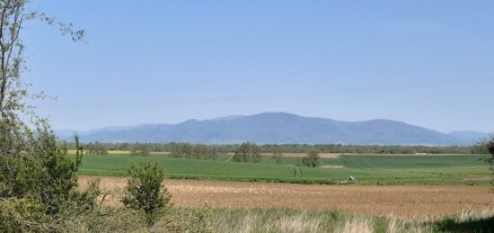 Terrain à bâtir à , Haut-Rhin