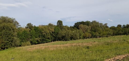 Terrain à bâtir à Ruederbach, Grand Est