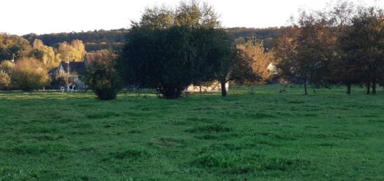 Terrain à bâtir à Hagenthal-le-Haut, Grand Est