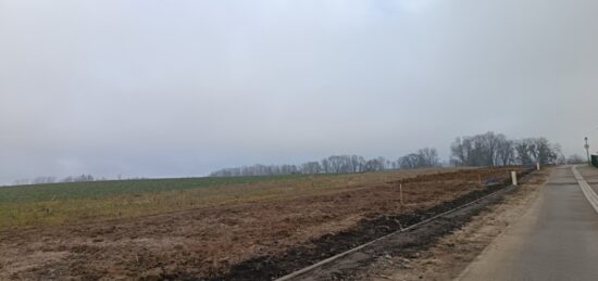 Terrain à bâtir à Spechbach-le-Bas, Grand Est