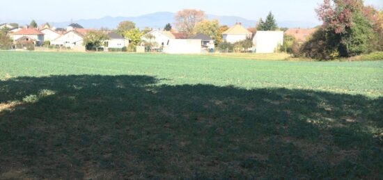 Terrain à bâtir à Morschwiller-le-Bas, Grand Est